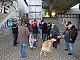 IMG_7776.jpg IMG_7776.jpg