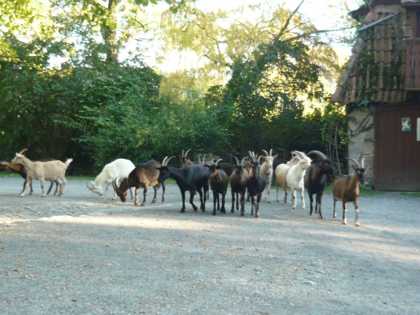 Caos-Ausflug-Schlüchtern.2011 130.jpg