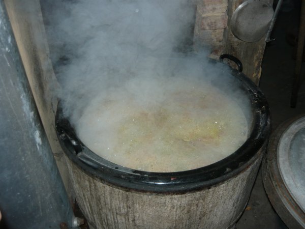 Caos-Ausflug-Schlüchtern.2011 143.jpg