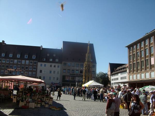 119 CAOS MD001166.jpg