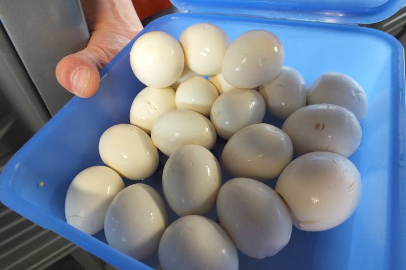 Caos-Ausflug-Korbach2014 022.jpg