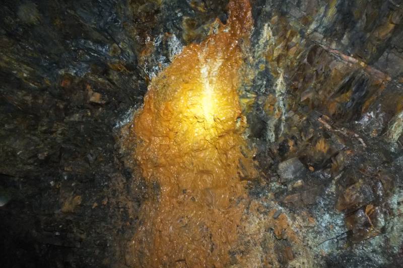 Caos-Ausflug-Korbach2014 270.jpg