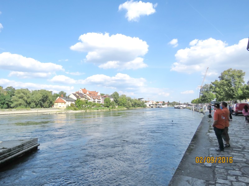 IMG_5677.jpg