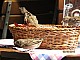 IMG_5637.jpg IMG_5637.jpg