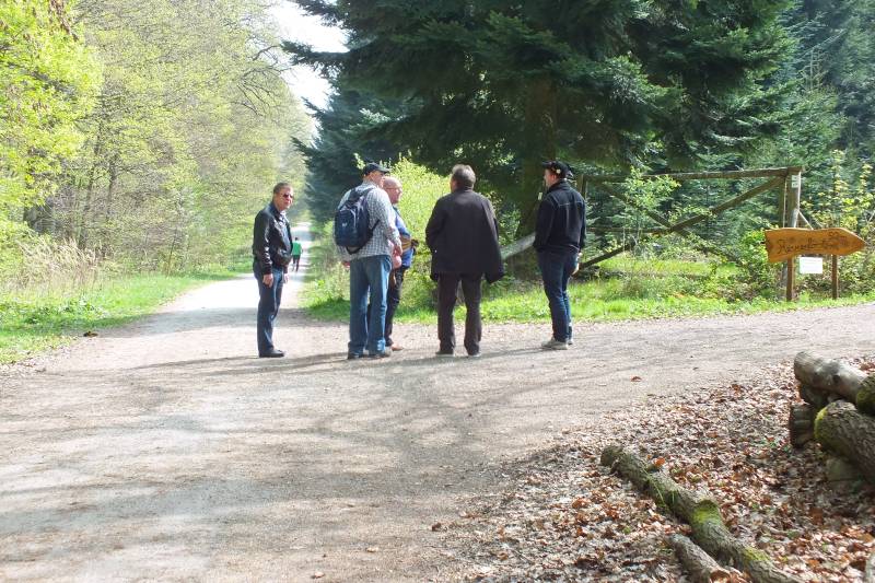 Caos-Wanderung2014-Hohemark 013.jpg