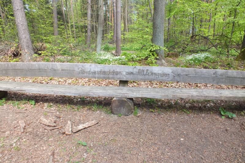 Caos-Wanderung2014-Hohemark 016.jpg