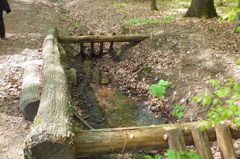 Caos-Wanderung2014-Hohemark 019.jpg