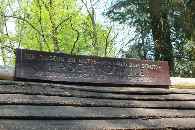 Caos-Wanderung2014-Hohemark 030.jpg