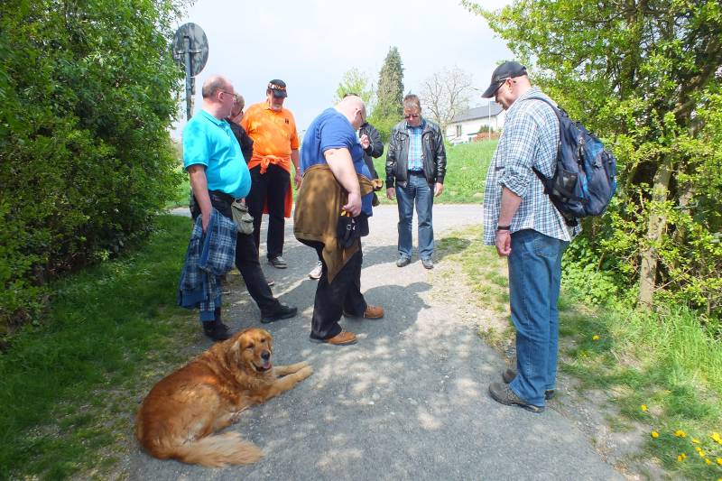 Caos-Wanderung2014-Hohemark 048.jpg