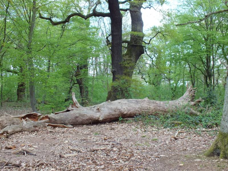 Caos-Wanderung 2015 082.jpg