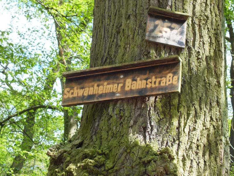 Caos-Wanderung 2015 098.jpg