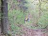 Caos-Wanderung 2015 079.jpg Caos-Wanderung 2015 079.jpg