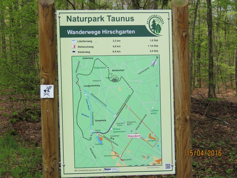 Naturburschenwanderung.- Caos-16.04.2016 048.jpg