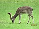 Naturburschenwanderung.- Caos-16.04.2016 040.jpg Naturburschenwanderung.- Caos-16.04.2016 040.jpg