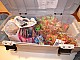 Kolping-Kinderfasching-2013 053.jpg