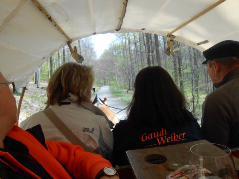 GW-1-Ausflug 14-Weibersbrunn 050.jpg