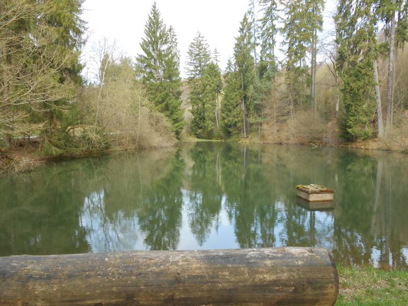 GW-1-Ausflug 14-Weibersbrunn 052.jpg