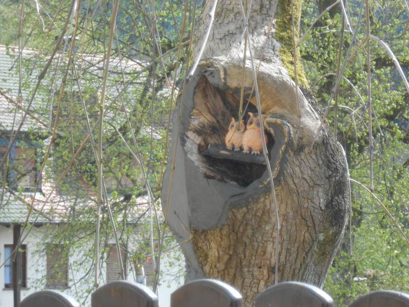 GW-1-Ausflug 14-Weibersbrunn 053.jpg