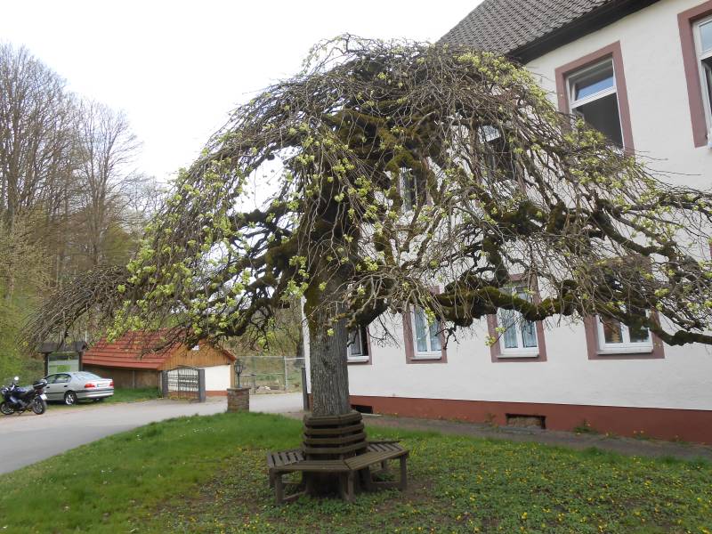 GW-1-Ausflug 14-Weibersbrunn 055.jpg