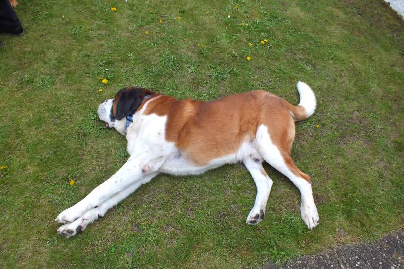 GW-2-Ausflug 14-Weibersbrunn 100 (15).jpg