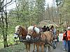 GW-1-Ausflug 14-Weibersbrunn 051a.jpg GW-1-Ausflug 14-Weibersbrunn 051a.jpg