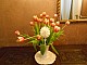 DSCN2026.jpg DSCN2026.jpg